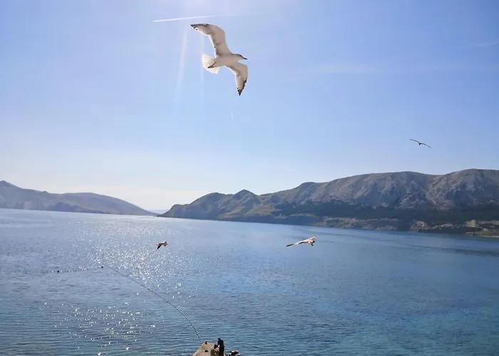 Mihovil By Interhome