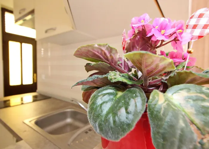 Mihovil By Interhome Appartement Baška